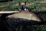 36 castilla la mancha   alarcon river