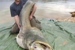 33 aragon   river ebro   caspe