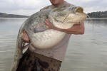 34 aragon   river ebro   caspe