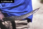 mastacembelus malabaricus mastacembelus malabaricus