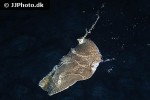 pateobatis jenkinsii pateobatis jenkinsii