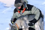 21 jaemtland   oestersund