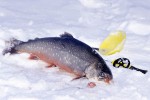 29 jaemtland   oestersund