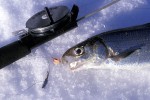 39 jaemtland   oestersund