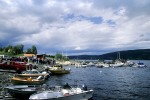 04 sweden canadian lake char 04 sweden canadian lake char