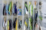 20 sweden canadian lake char 20 sweden canadian lake char