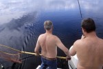 50 sweden canadian lake char 50 sweden canadian lake char