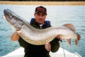 Sweden - Pike