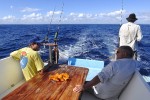 39 kilwa