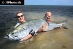 megalops atlanticus megalops atlanticus