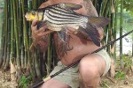 17 kaempeng saen lake