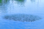 17d kaempeng saen lake