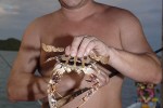 26 gulf of thailand