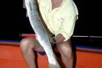 29 gulf of thailand
