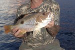 36 gulf of thailand