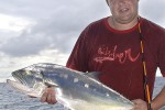 50 gulf of thailand