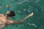 53 gulf of thailand