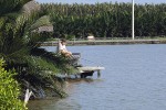 63 ban mee lake