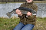 oncorhynchus mykiss oncorhynchus mykiss