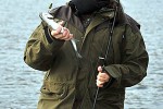 oncorhynchus mykiss oncorhynchus mykiss