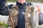 oncorhynchus mykiss oncorhynchus mykiss
