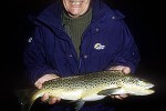salmo trutta lacustris salmo trutta lacustris