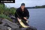 salmo trutta lacustris salmo trutta lacustris