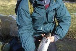 salmo trutta trutta salmo trutta trutta