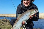 salmo trutta trutta salmo trutta trutta