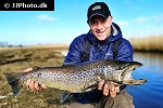 salmo trutta trutta salmo trutta trutta