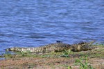 10 lake victoria