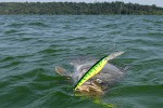 18 lake victoria
