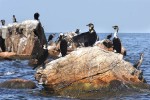 21 lake victoria