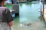 09 florida   islamorada