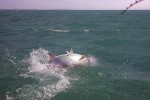 25 florida   islamorada