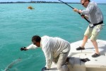 26 florida   islamorada
