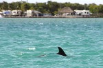 51 florida   islamorada