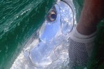 74 florida   islamorada
