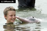 tursiops aduncus indo pacific bottlenose dolphin tursiops aduncus indo pacific bottlenose dolphin