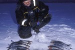 coregonus megalops coregonus megalops